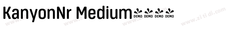 KanyonNr Medium字体转换